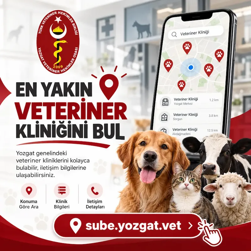 Yozgat'ta en yakın veteriner kliniğini bul